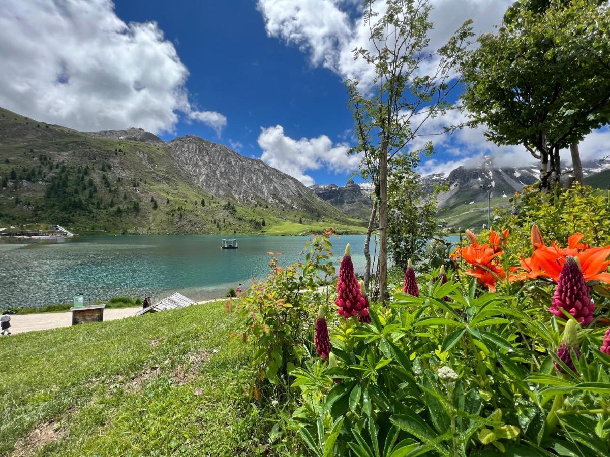 Myhome - Genepis 9 - Studio Renove Tignes Val Claret 4 Pax Sks Aux Pieds 外观 照片